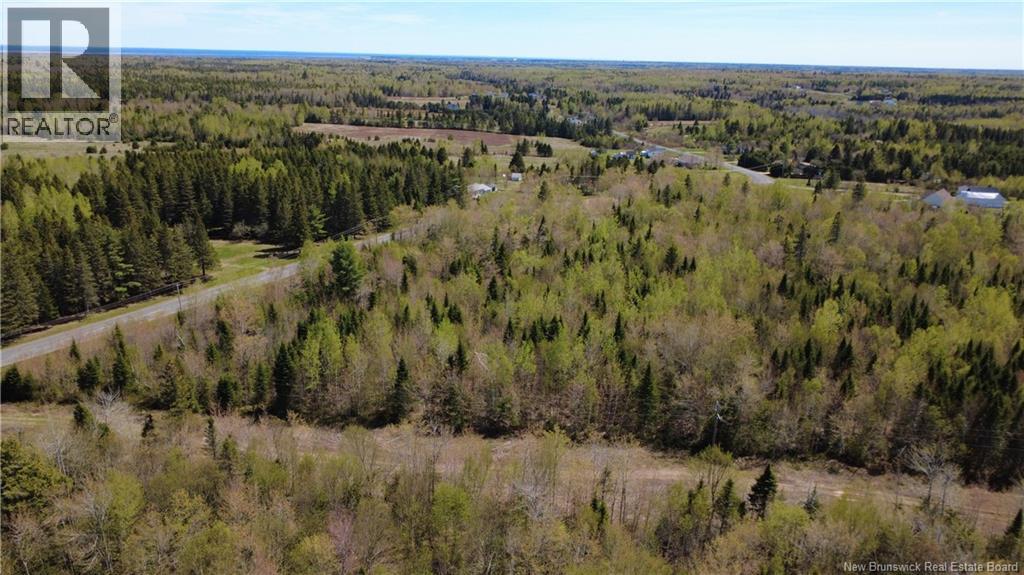 5, 036 Mc Chemin St-raymond Property Photo 6