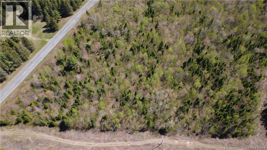 5, 036 Mc Chemin St-raymond Property Photo 8