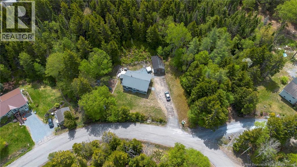 181 Clark Road Property Photo 21