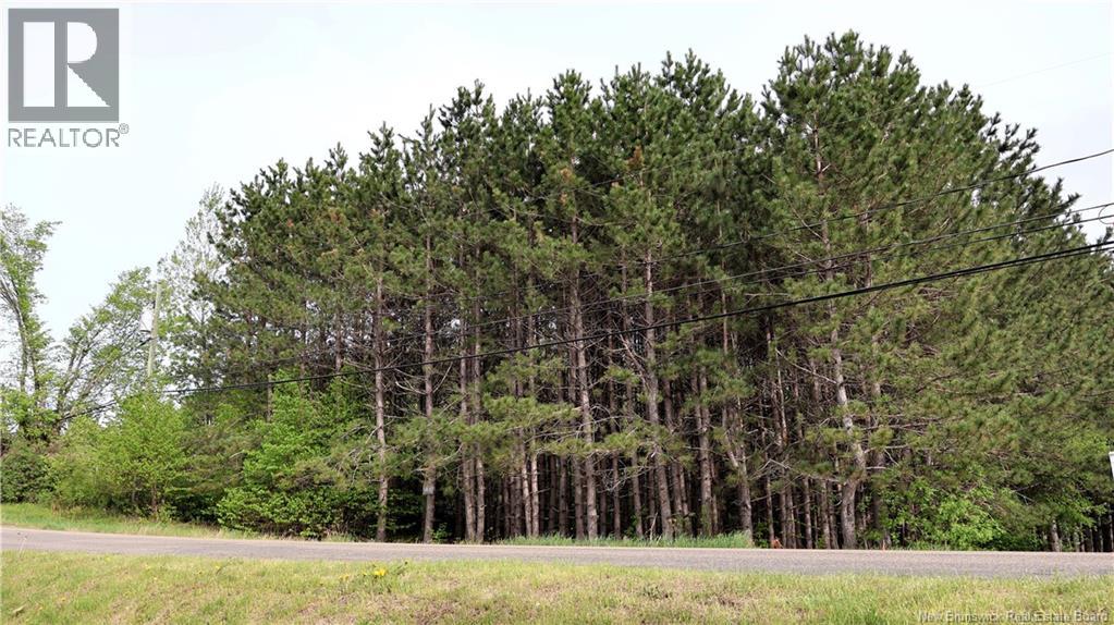 VACANT LOT 74-1A CAPE BRETON RD Road