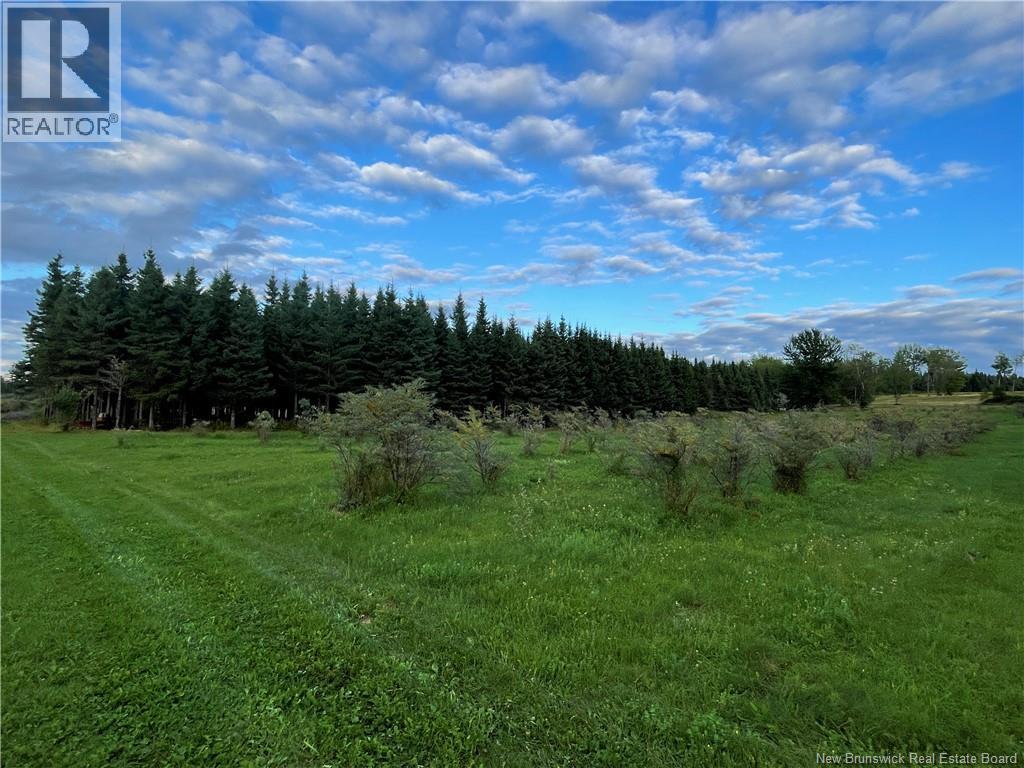 320 Red Bank Road Property Photo 49
