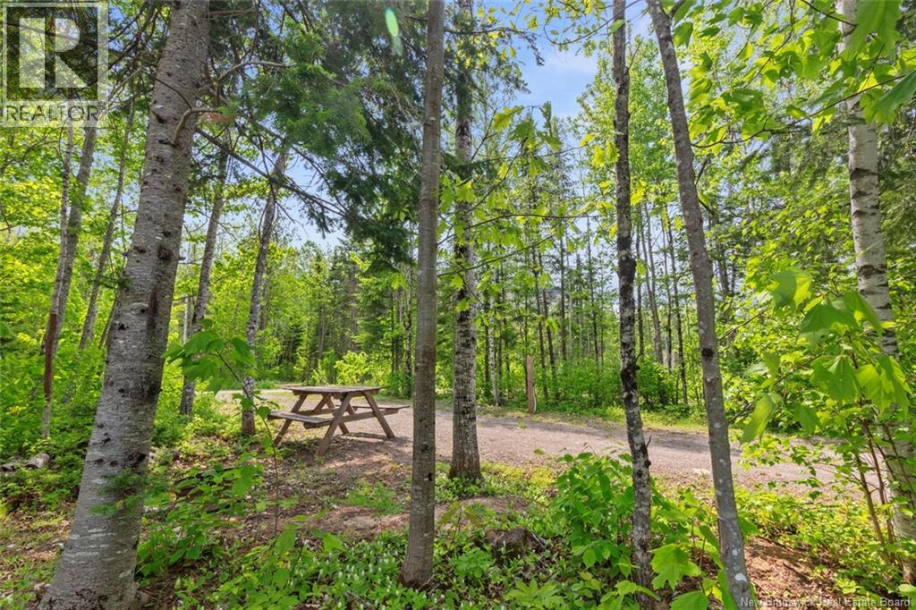 423 Salisbury Back Road Property Photo 29