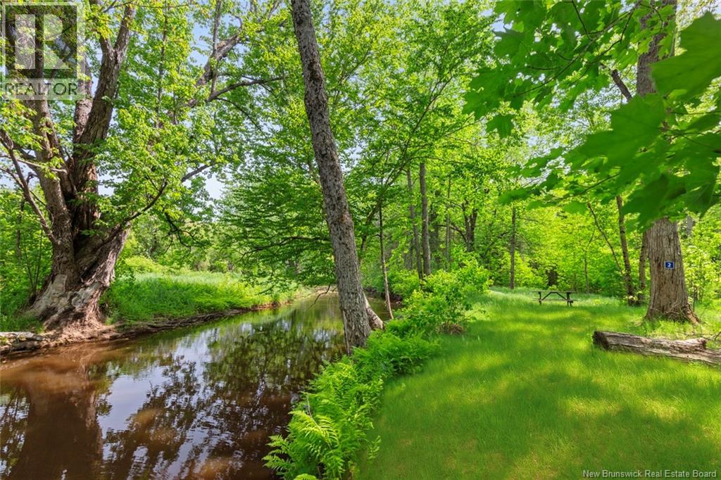 423 Salisbury Back Road Property Photo 30