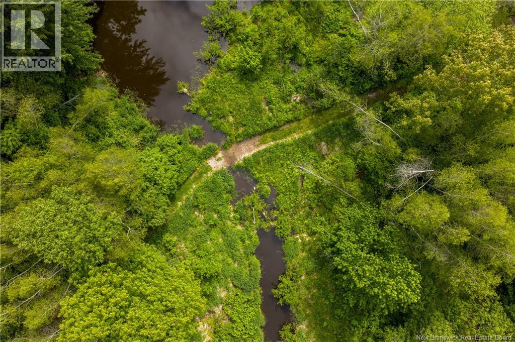 423 Salisbury Back Road Property Photo 36