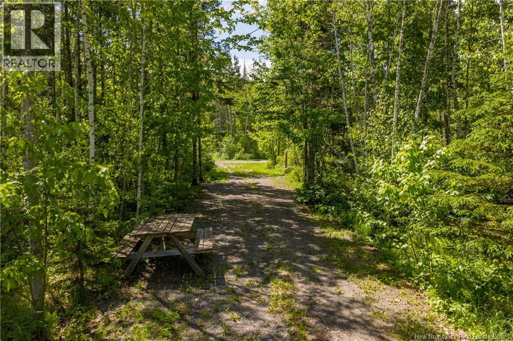 423 Salisbury Back Road Property Photo 38