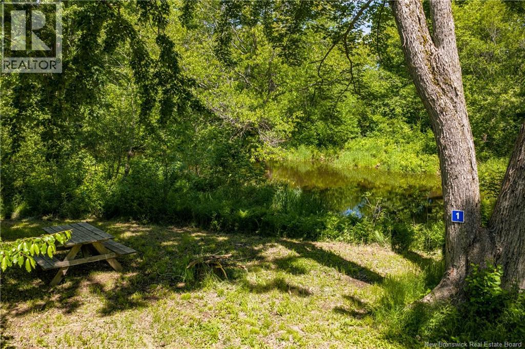 423 Salisbury Back Road Property Photo 39