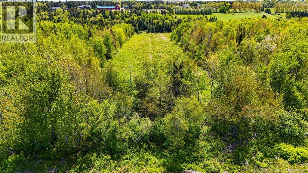 Land Crossman Hills Road Property Photo 8
