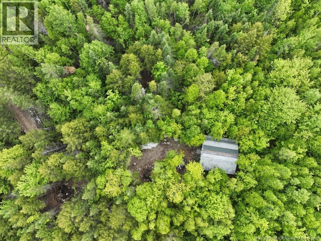 259 Hillard Farm Road Property Photo 16
