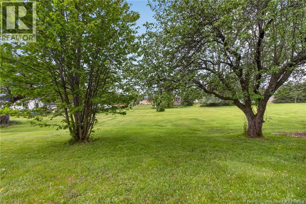 54 Peter Street Property Photo 50
