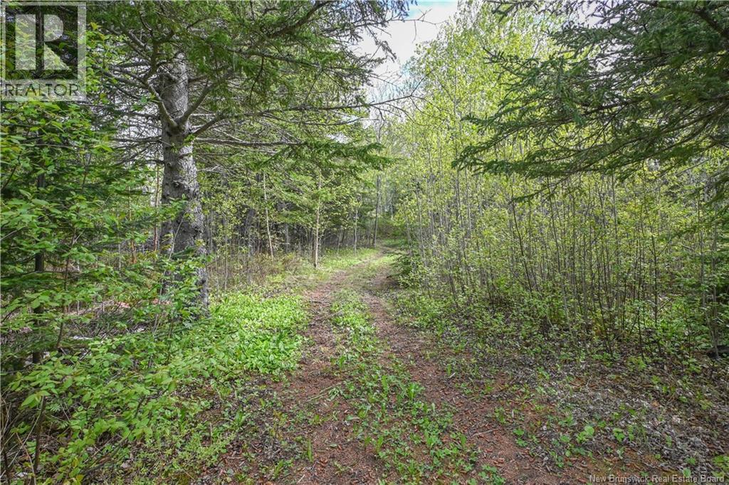 95 Acadie Street Property Photo 8