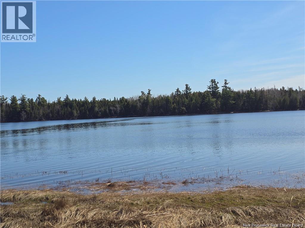 Acreage North Black River Road Property Photo 1