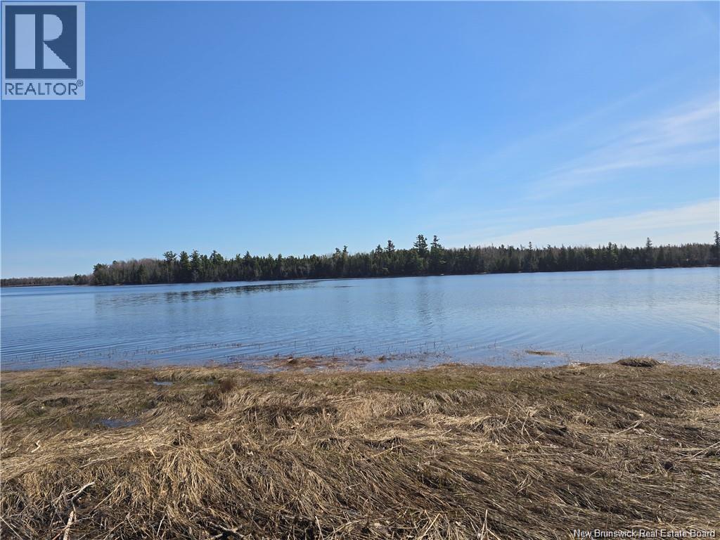 Acreage North Black River Road Property Photo 3