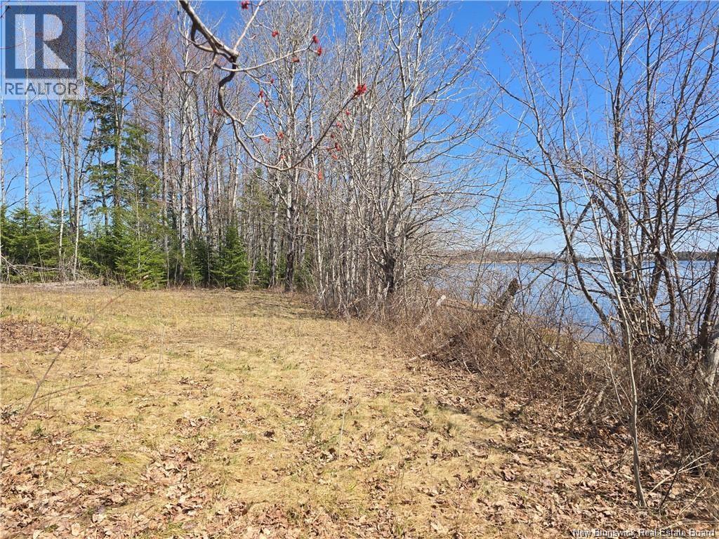 Acreage North Black River Road Property Photo 11