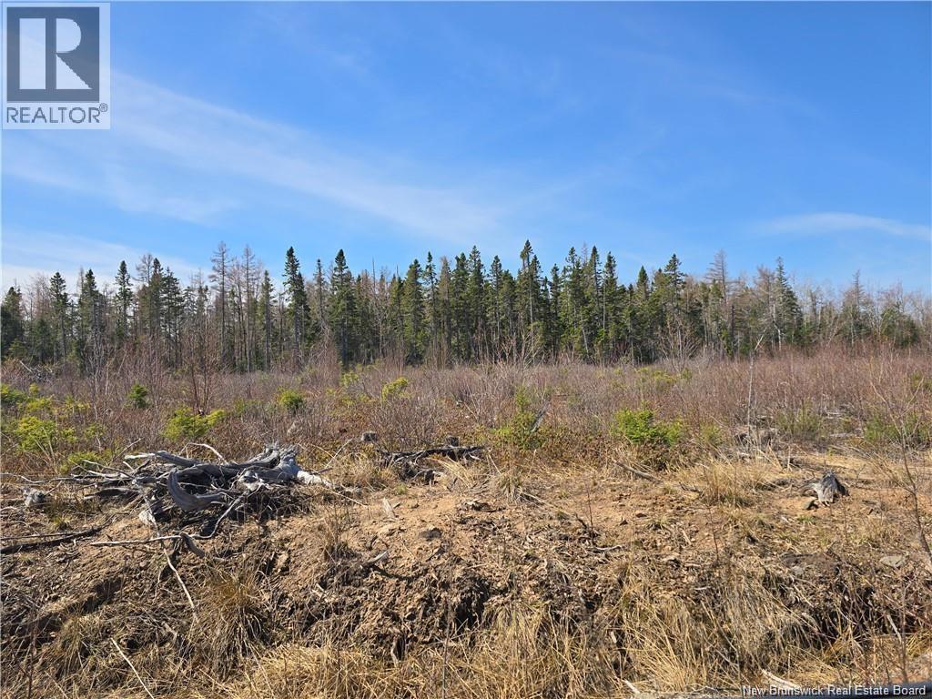 Acreage North Black River Road Property Photo 17