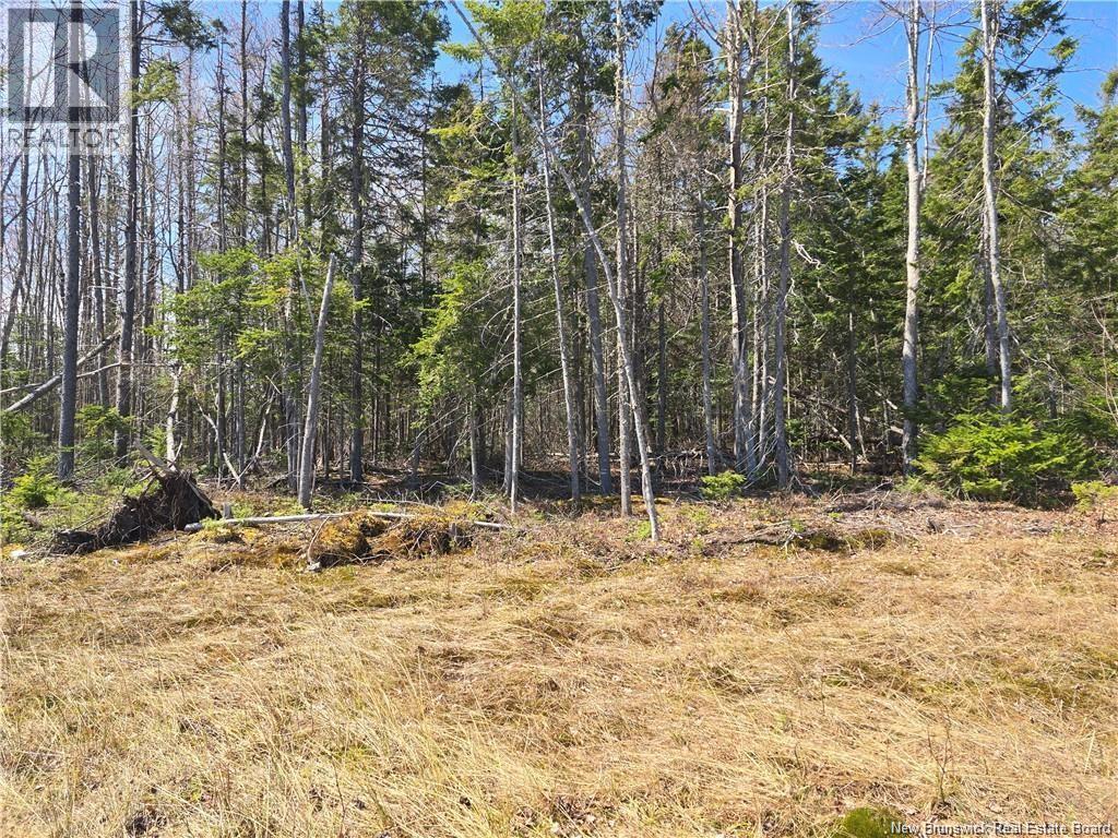 Acreage North Black River Road Property Photo 22