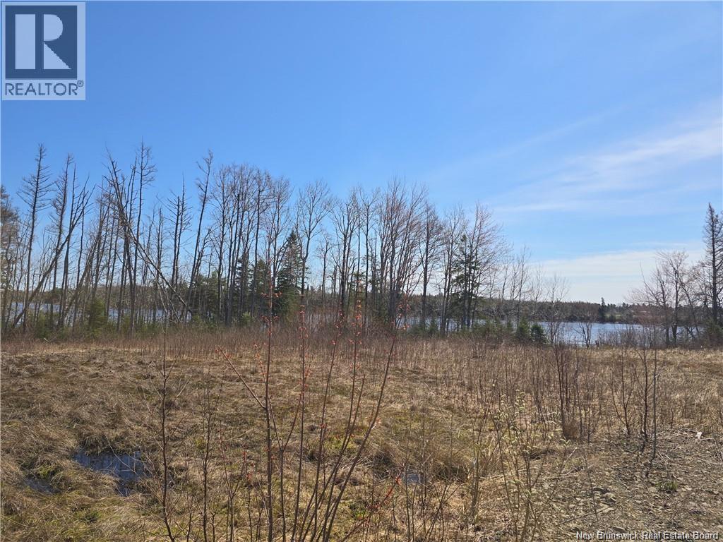 Acreage North Black River Road Property Photo 23