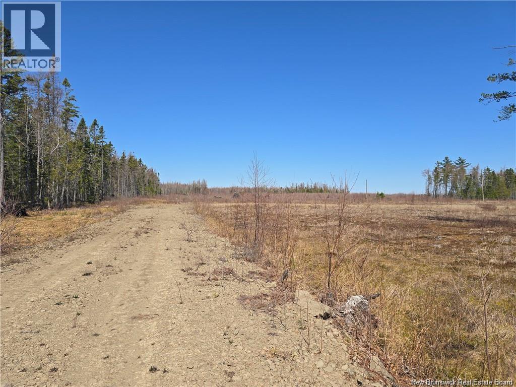 Acreage North Black River Road Property Photo 25