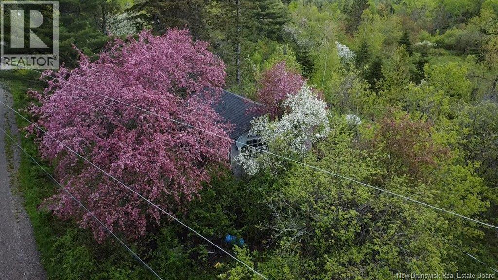196 Ledge Road Property Photo 3