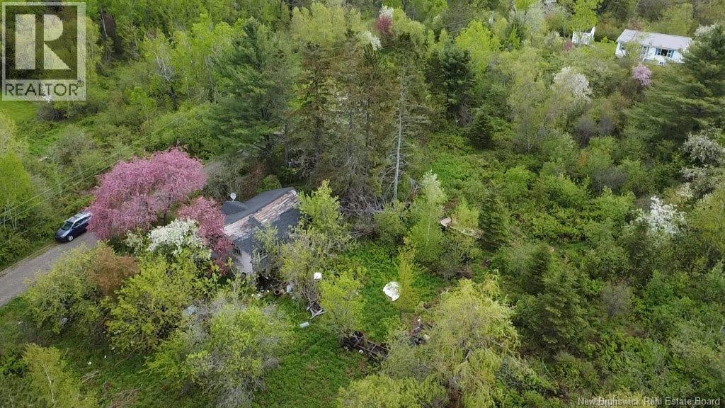 196 Ledge Road Property Photo 4