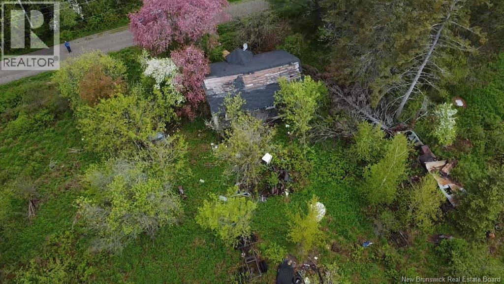 196 Ledge Road Property Photo 6