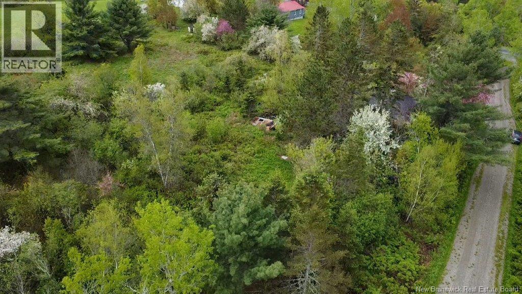 196 Ledge Road Property Photo 8