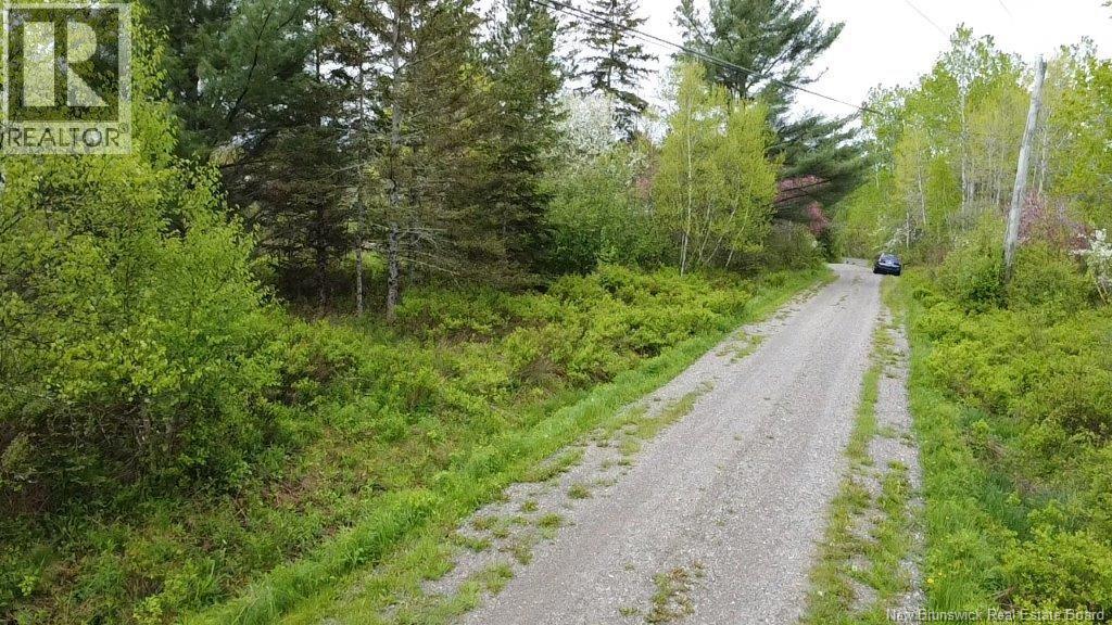 196 Ledge Road Property Photo 10