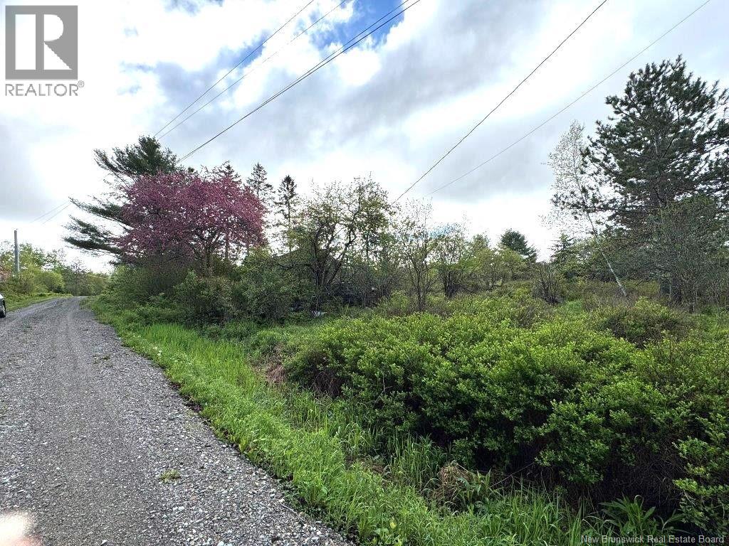 196 Ledge Road Property Photo 11