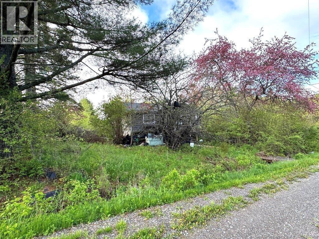 196 Ledge Road Property Photo 12