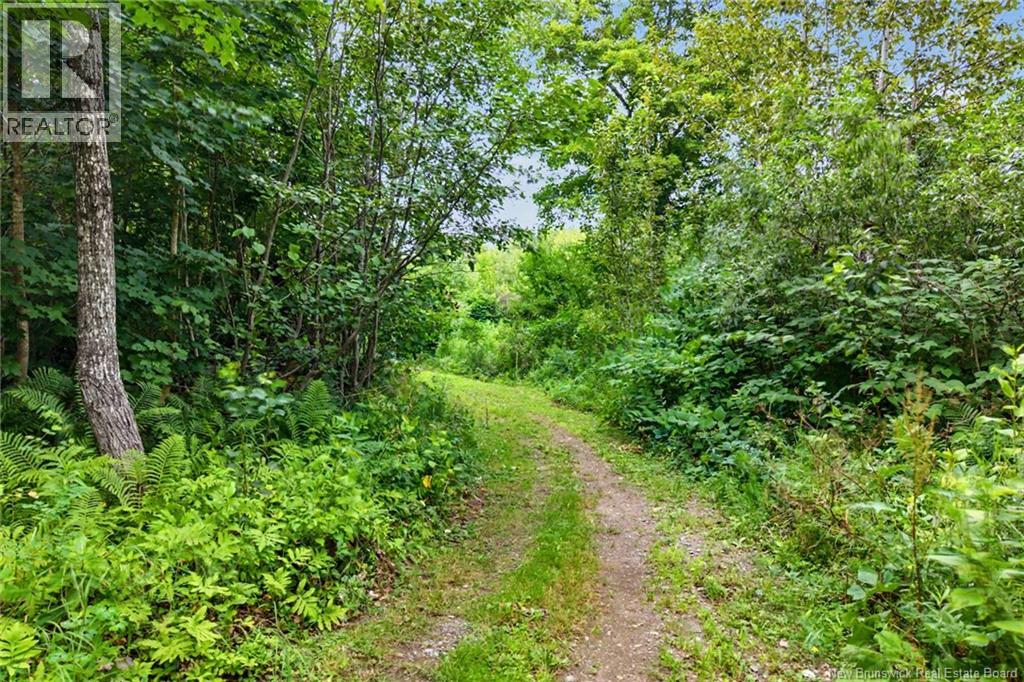 25 Route 620 Property Photo 42