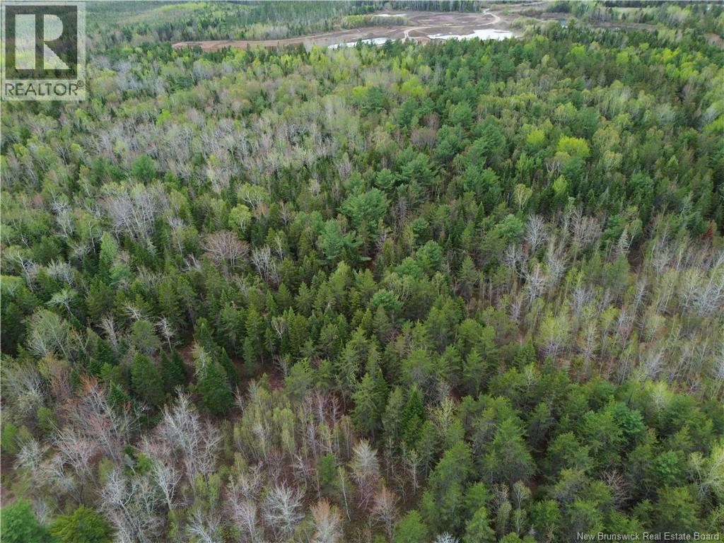 25-7 Route 134 Property Photo 16