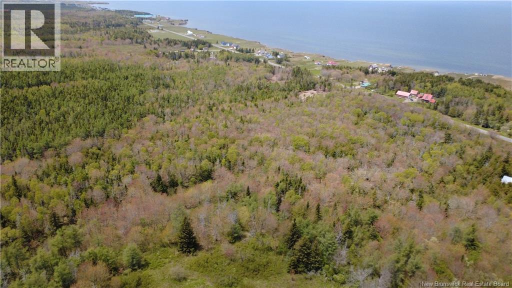 393 Route 320 Property Photo 16