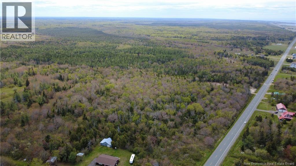393 Route 320 Property Photo 17
