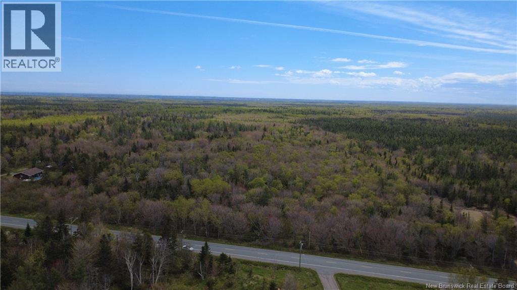393 Route 320 Property Photo 18
