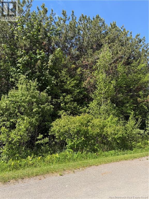 Lot Cody Road Property Photo 2