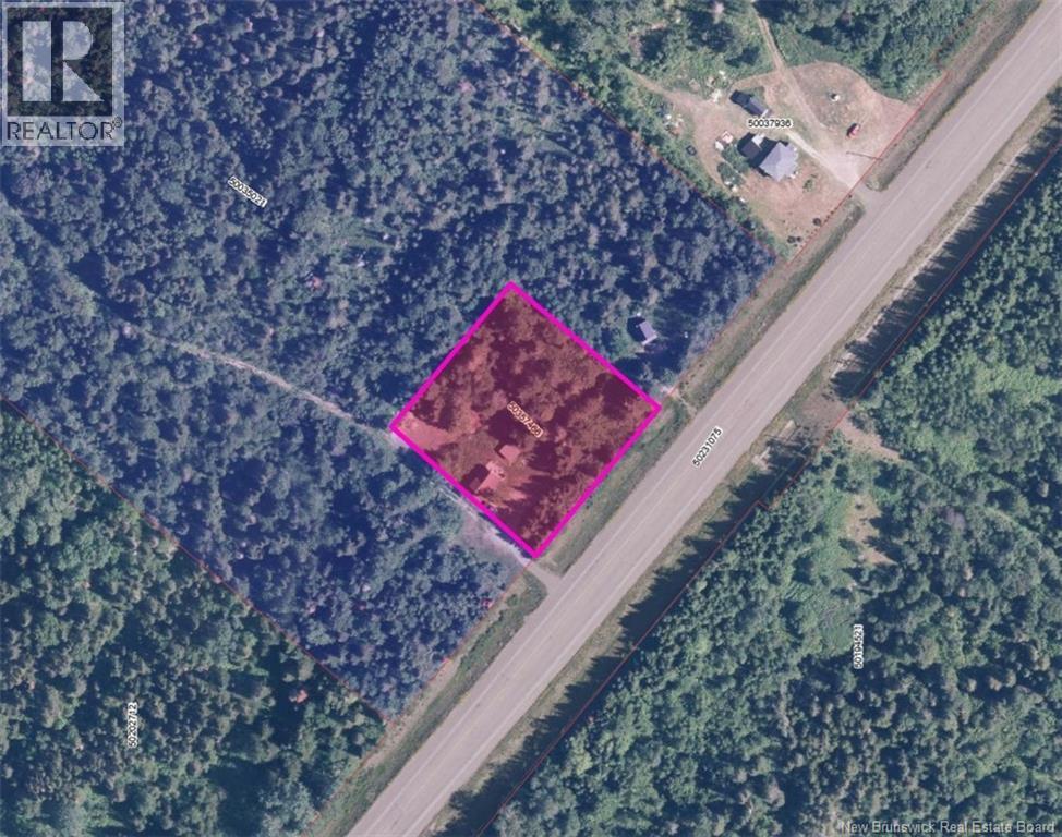 11498 Route 17 Property Photo 19