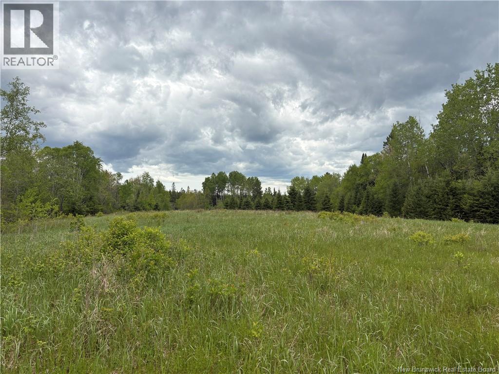 326 Dorn Ridge Road Property Photo 12