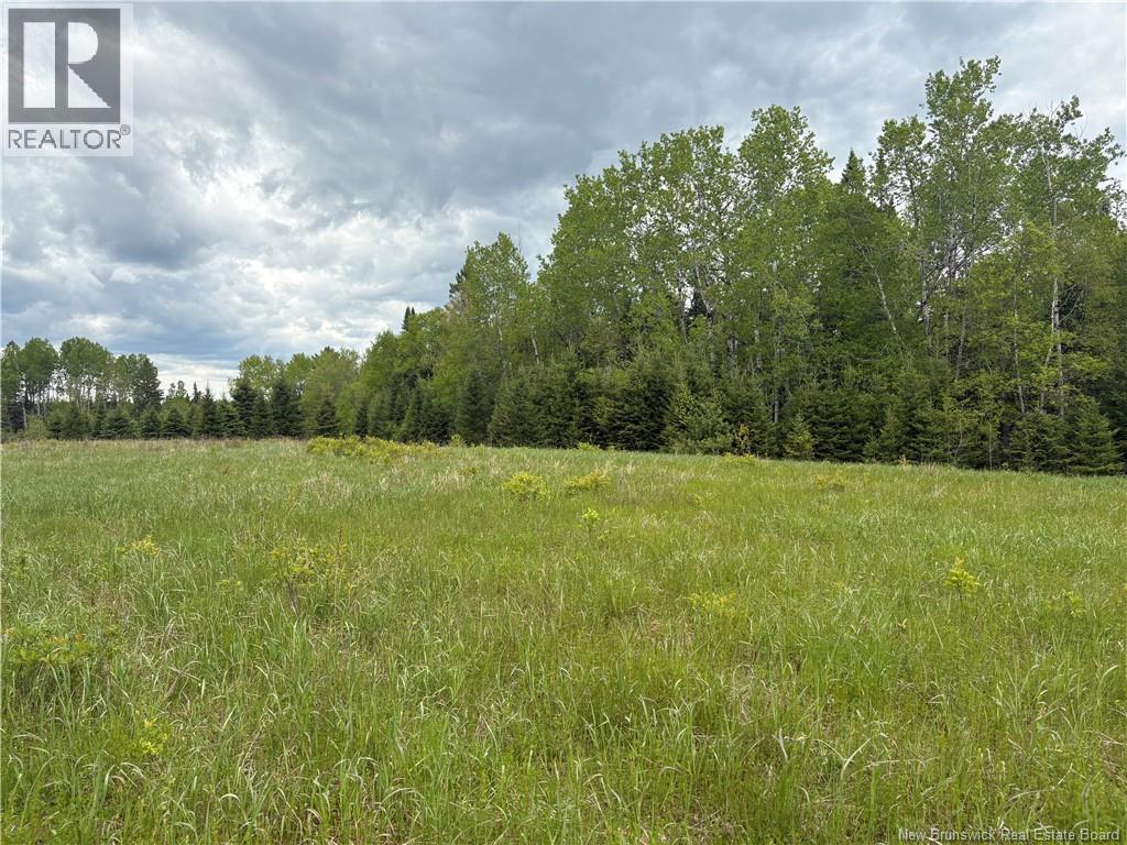 326 Dorn Ridge Road Property Photo 13