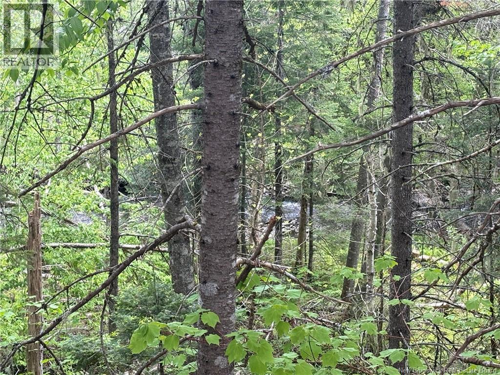 326 Dorn Ridge Road Property Photo 15