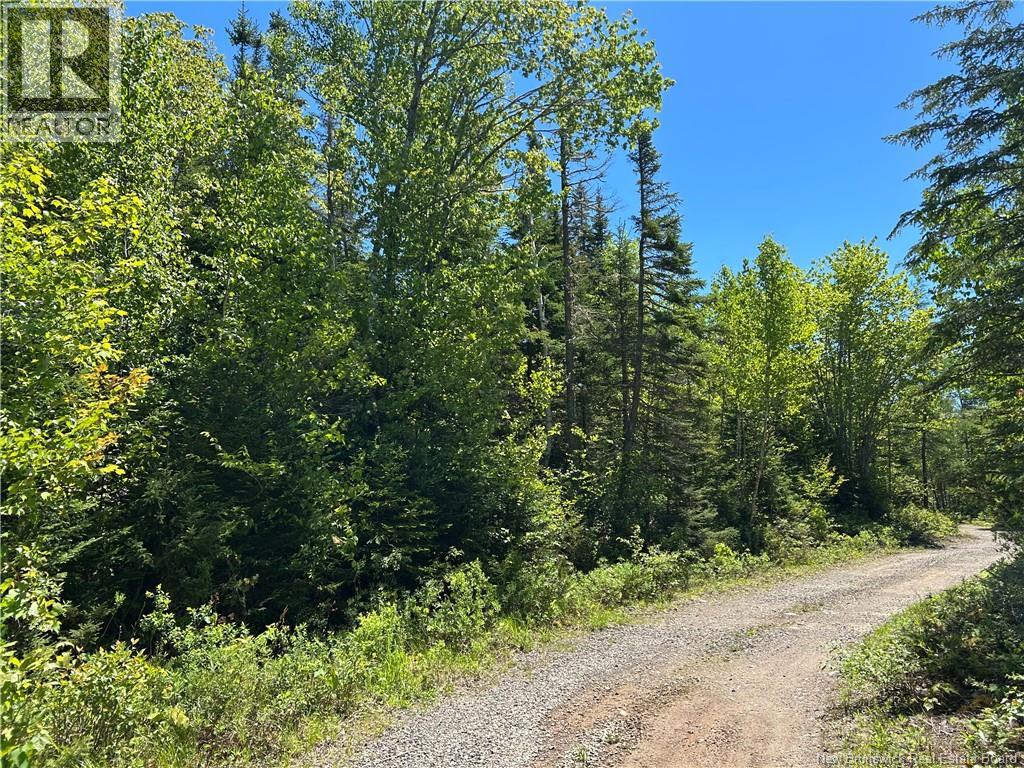 Lot Nelson Lake Road
