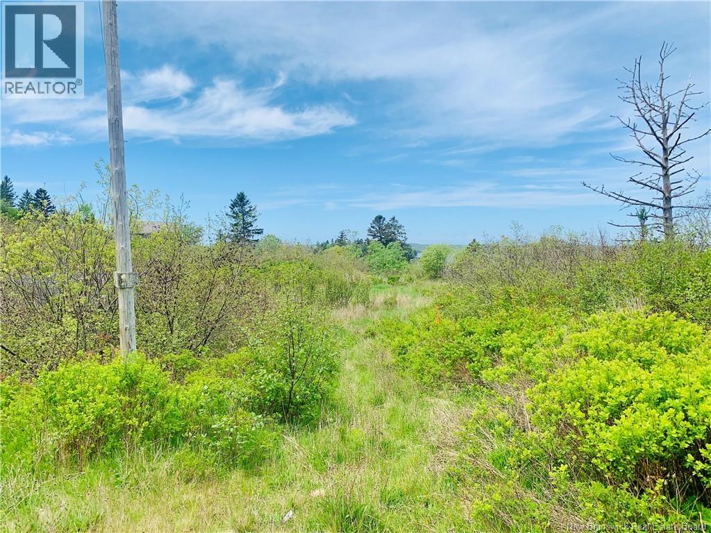 183 Narrows Road Property Photo 8