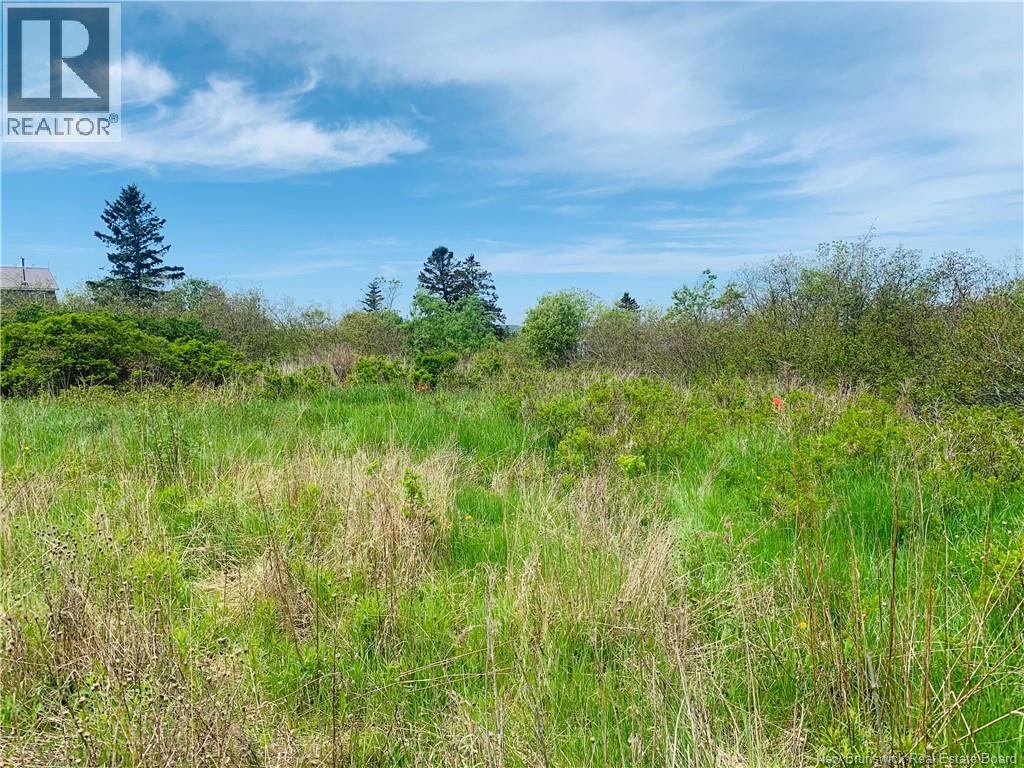 183 Narrows Road Property Photo 9