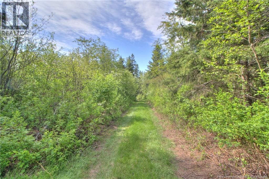 Lot Route 470 Property Photo 5