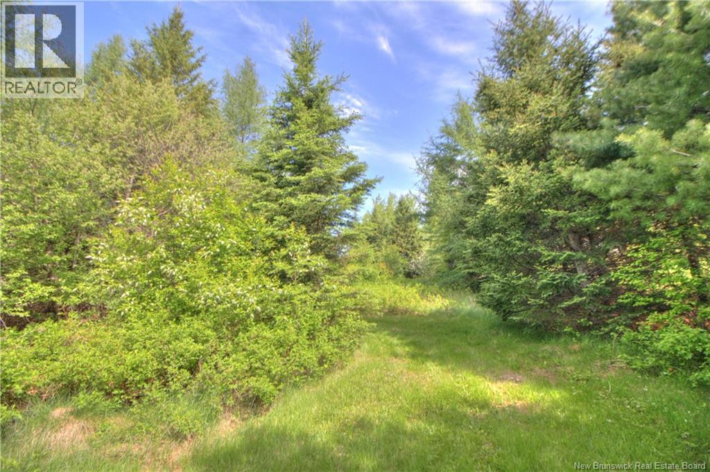 Lot Route 470 Property Photo 7
