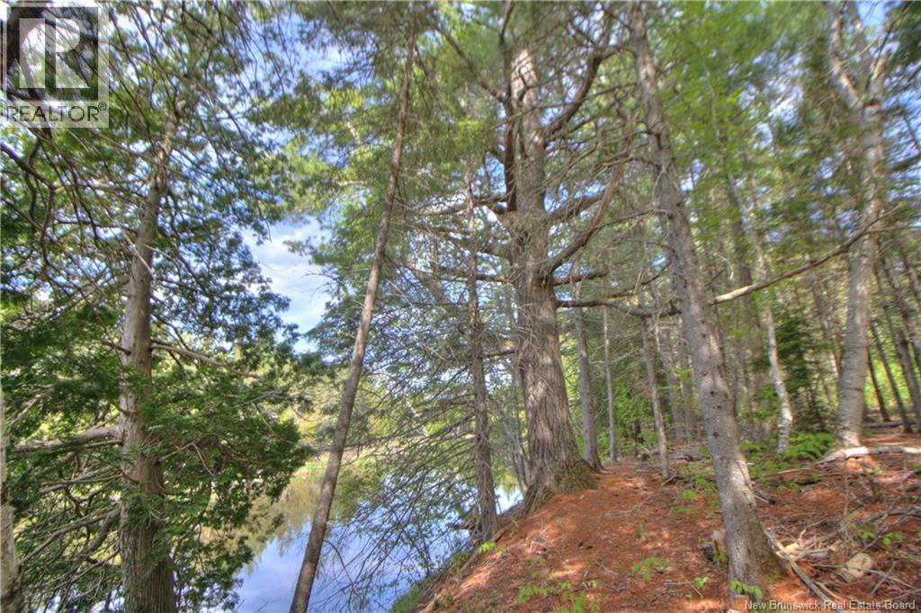 Lot Route 470 Property Photo 9