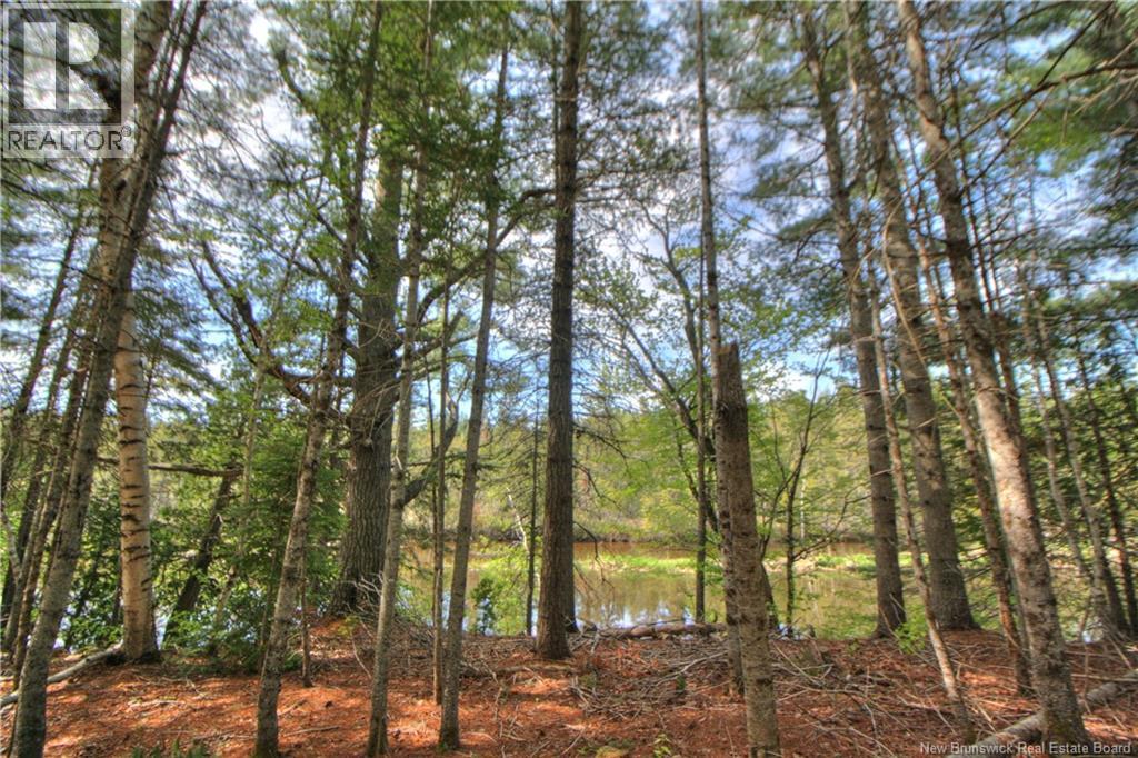 Lot Route 470 Property Photo 12