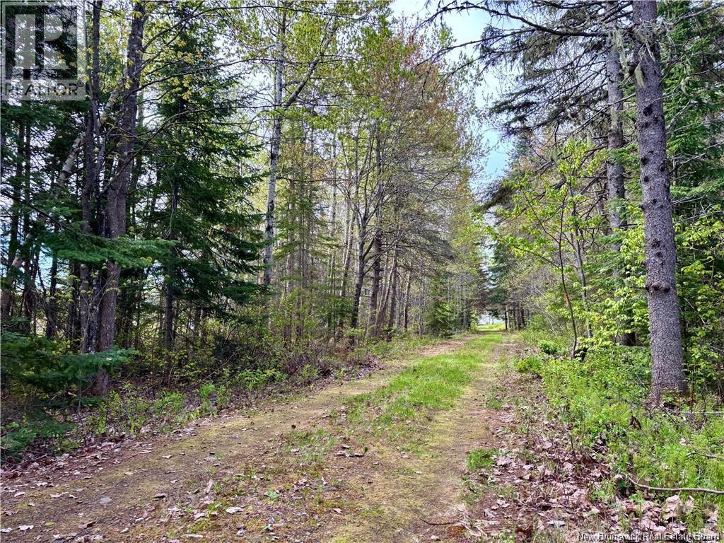 1892 Route 460 Property Photo 9