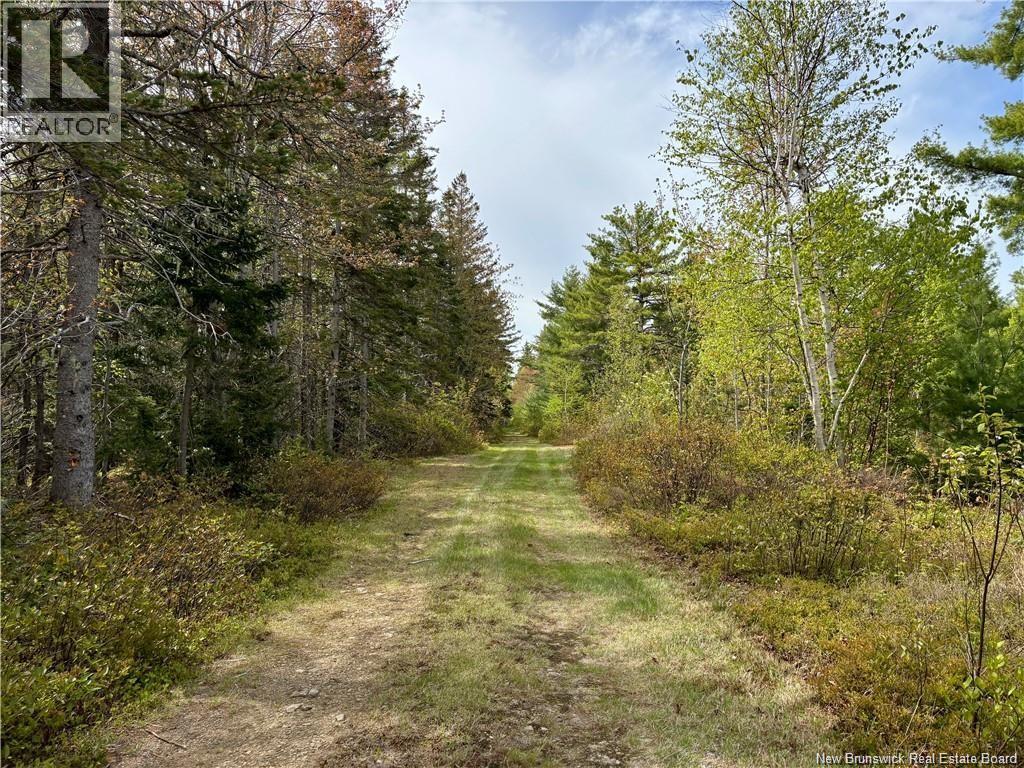 1892 Route 460 Property Photo 10