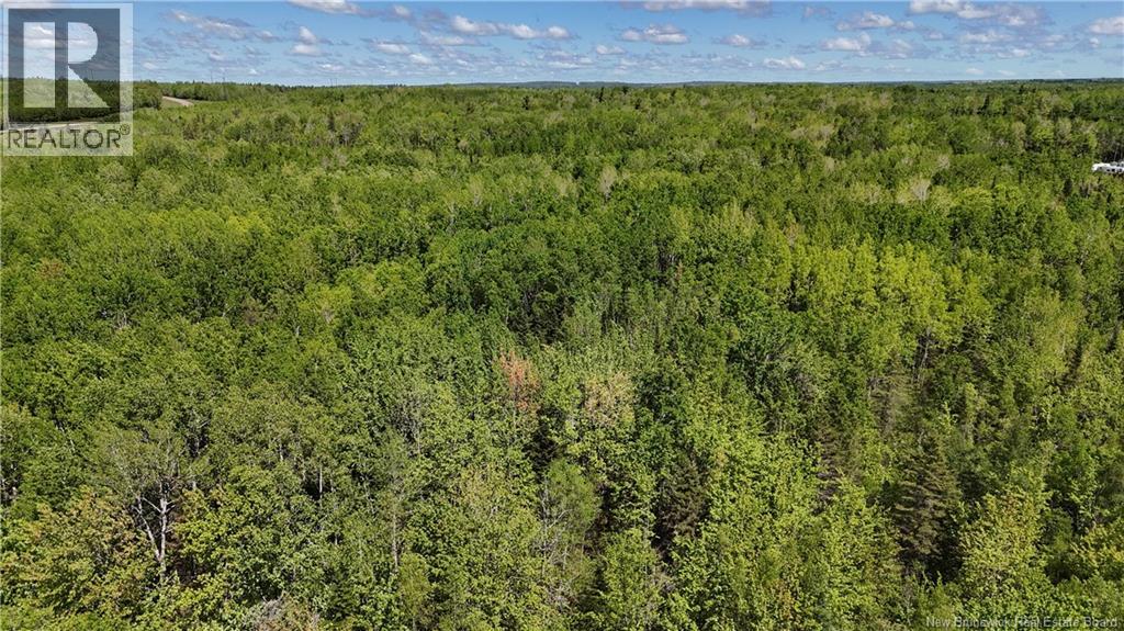 Lot 21-1, 21-2 Route 106 Property Photo 8
