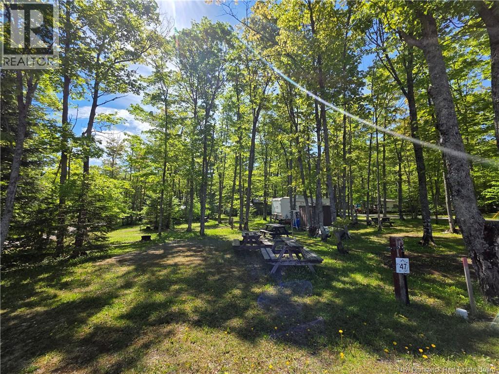 1353 Route 17 Property Photo 33