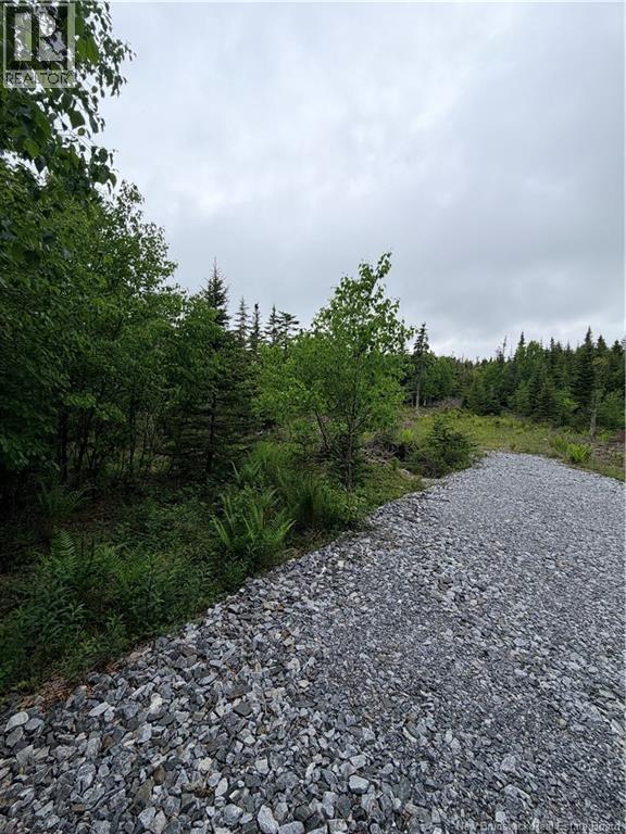 Meadow Cove Road Property Photo 3